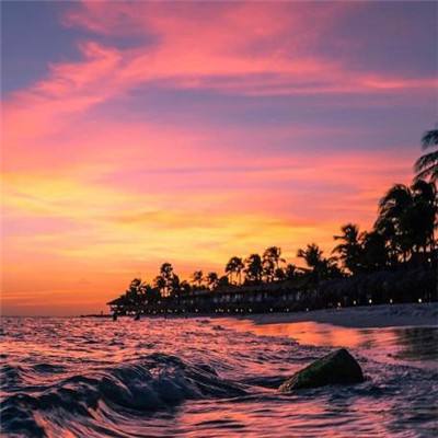 大卡车司机停车5无敌版