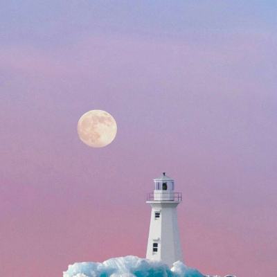 超口爱心理测验！猫的冒险4